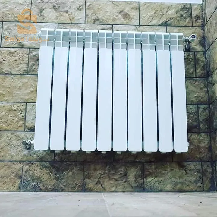 All plumbing work
