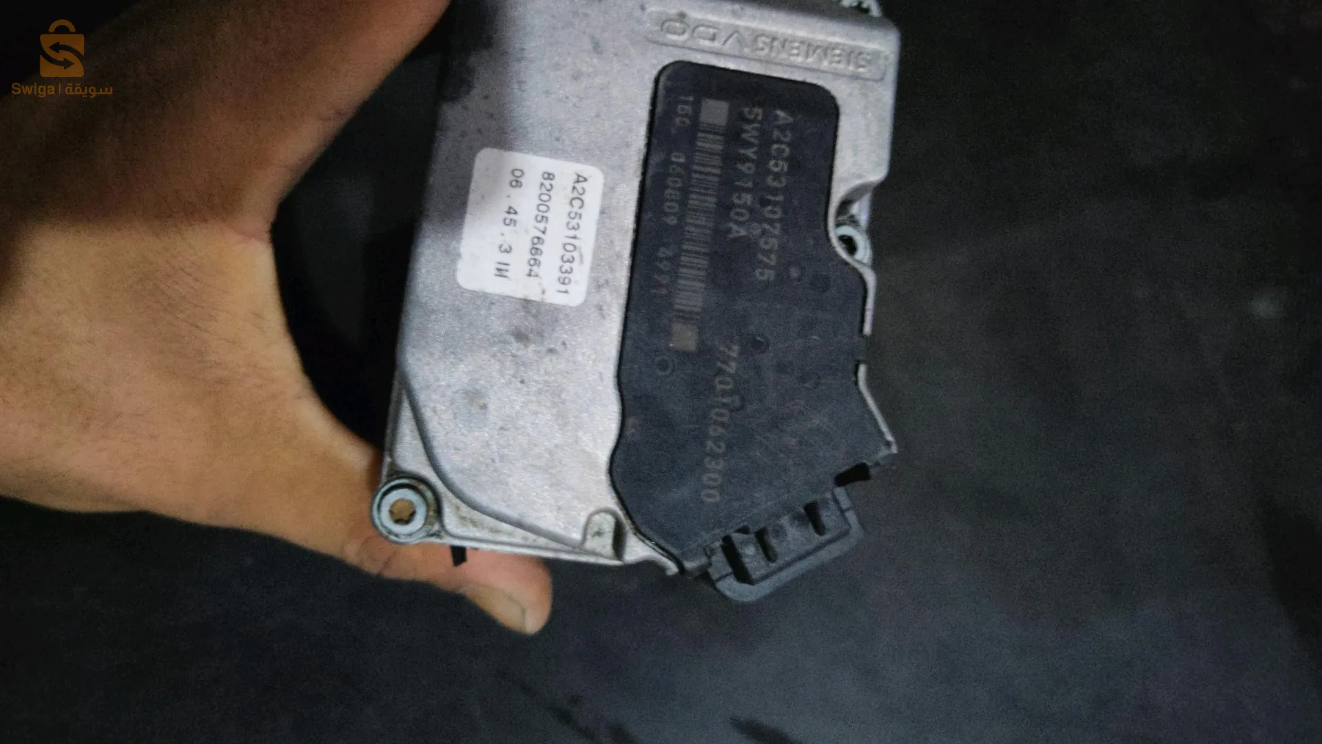 papillon 1.9 dci