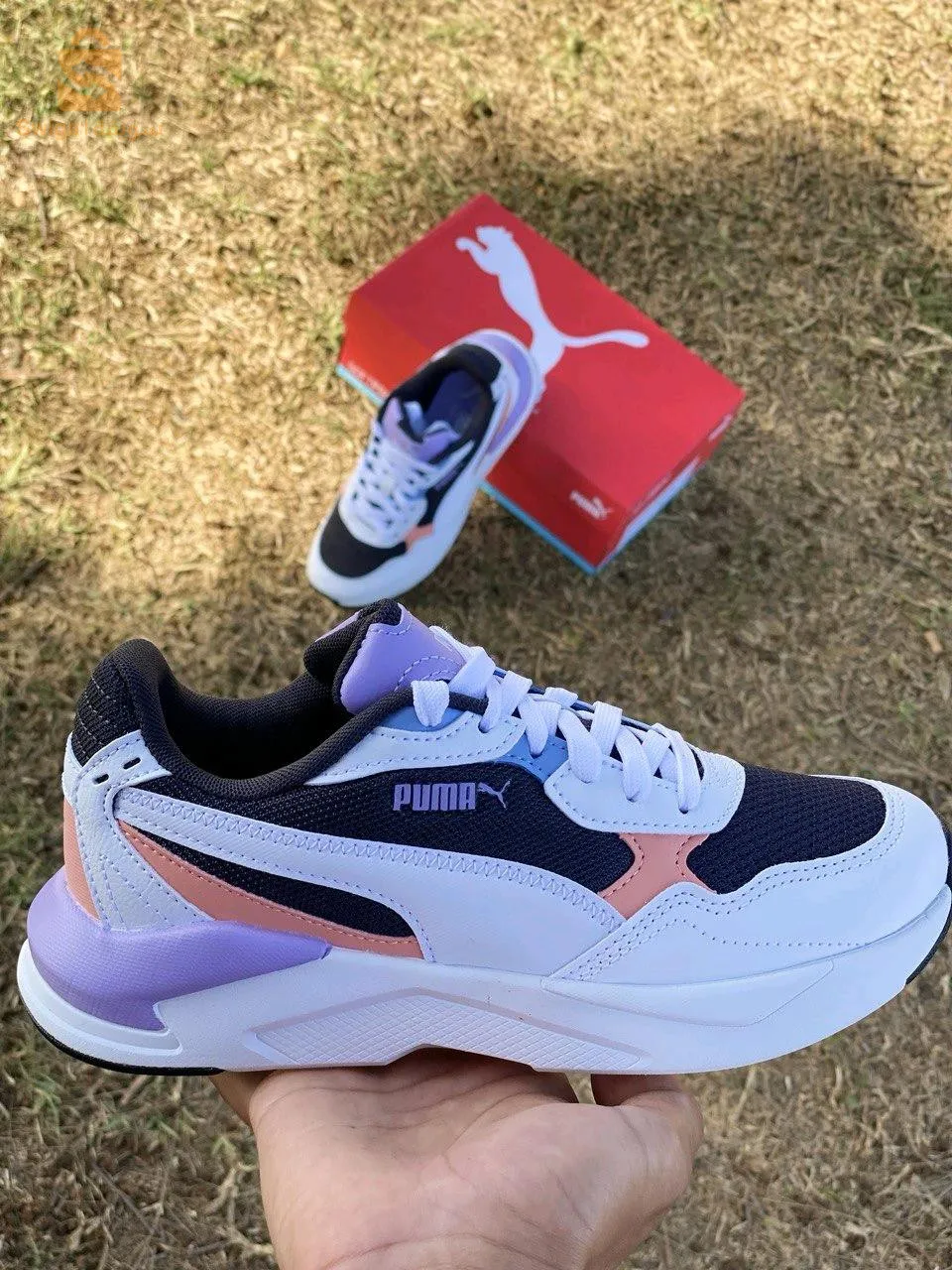 puma X-Ray