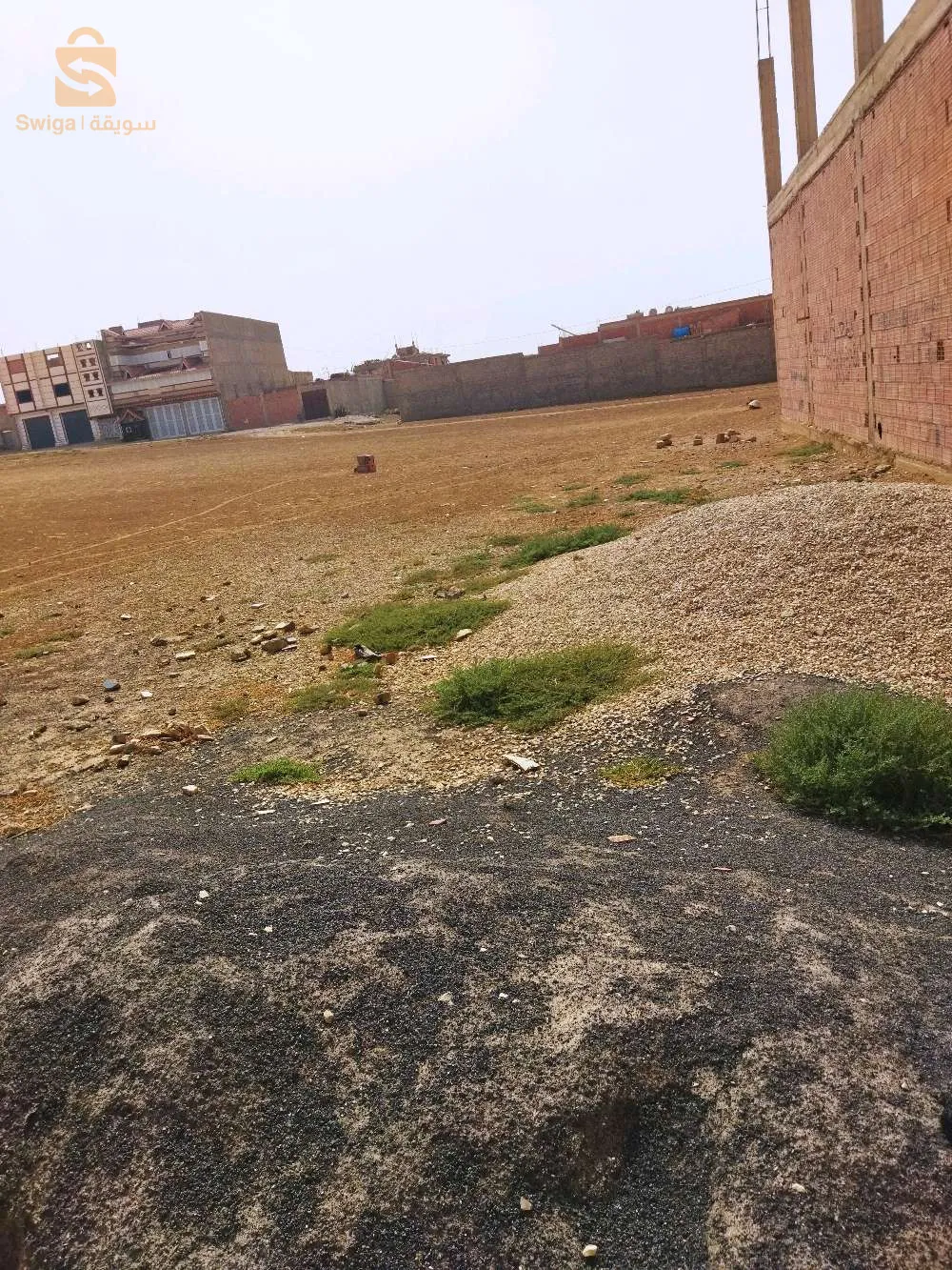 في اولاد مسلم