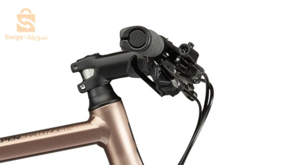 vélo bmc alpenchalenge two