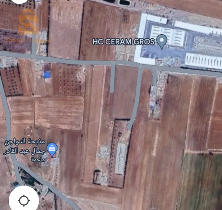 دوار سيدي الصافي تغنيف معسكر  مقابل شركة هنو سيراميكا