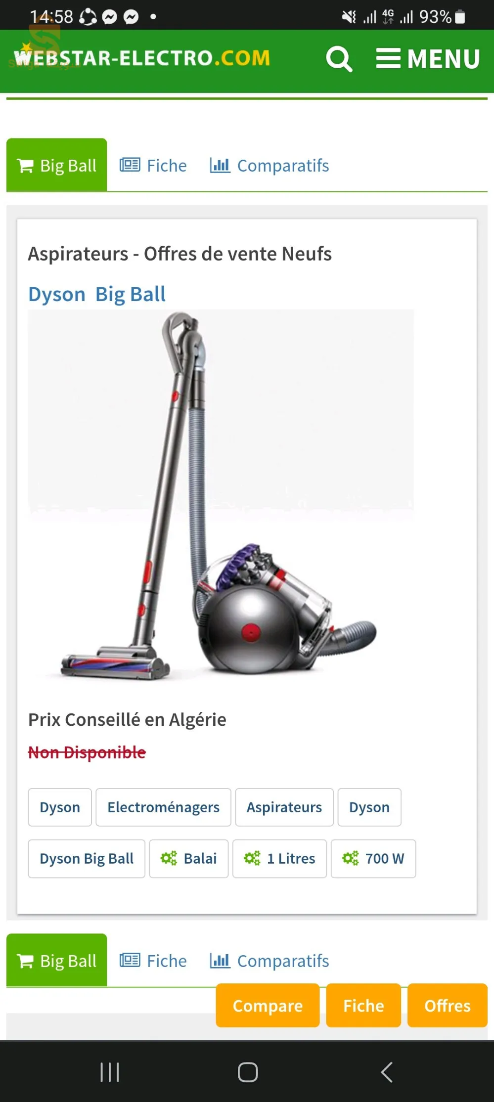 aspirateur Dyson big ball