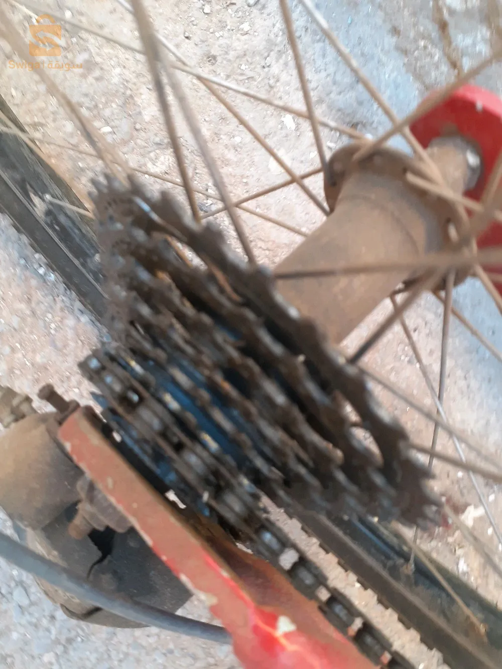 دراجة هوائية