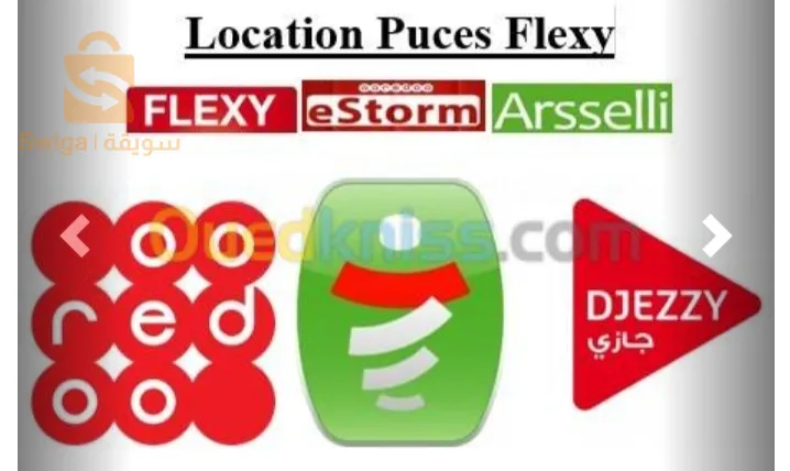 location puces flexy