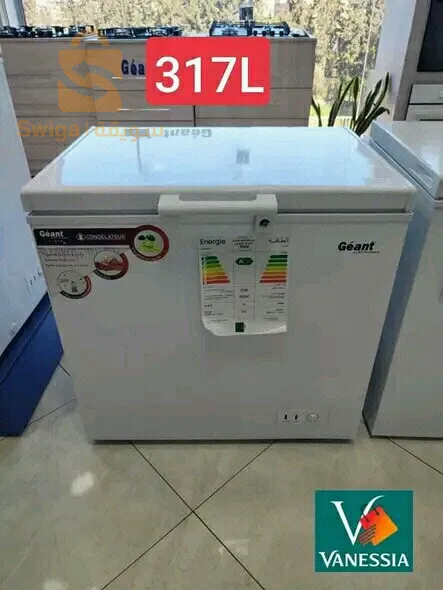 Solde promo 🎁 😍❤️
Congélateur de la marque géant disponible avec g