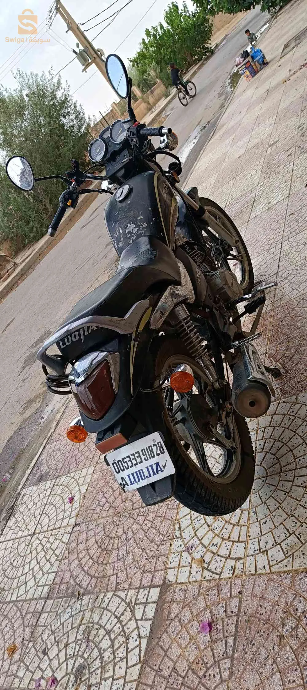 عين الخضراء المسيلة