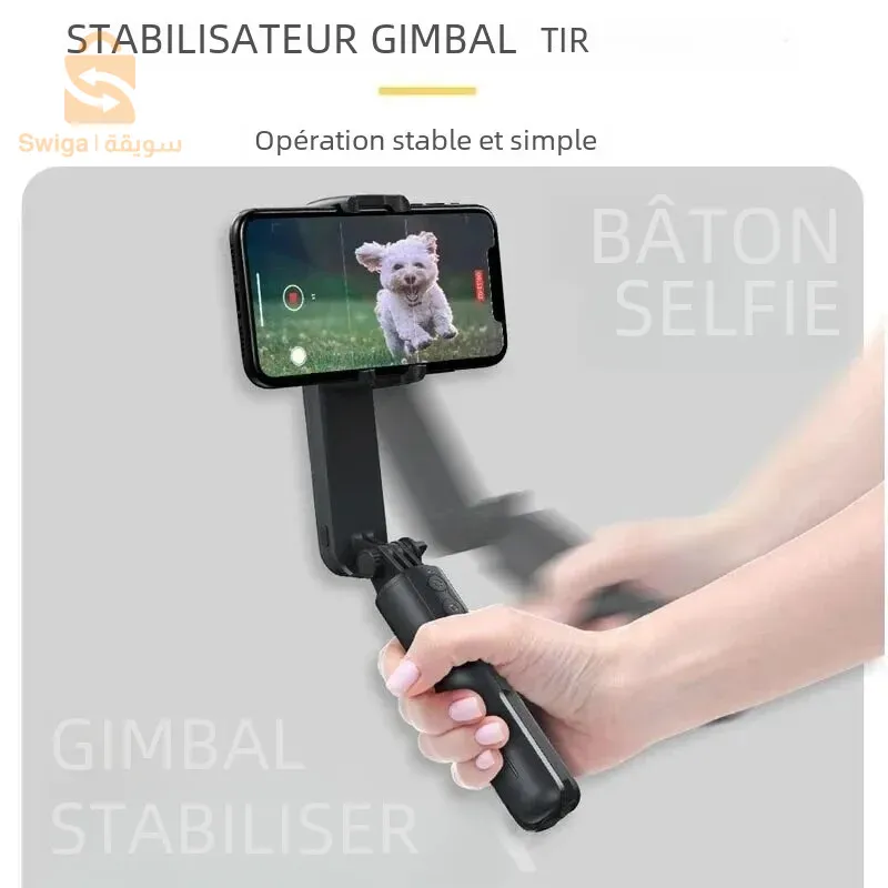stabilisateur global l09