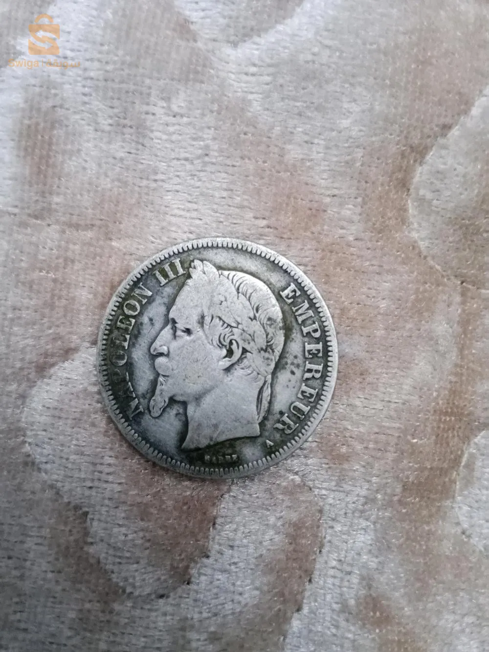 تيبازة