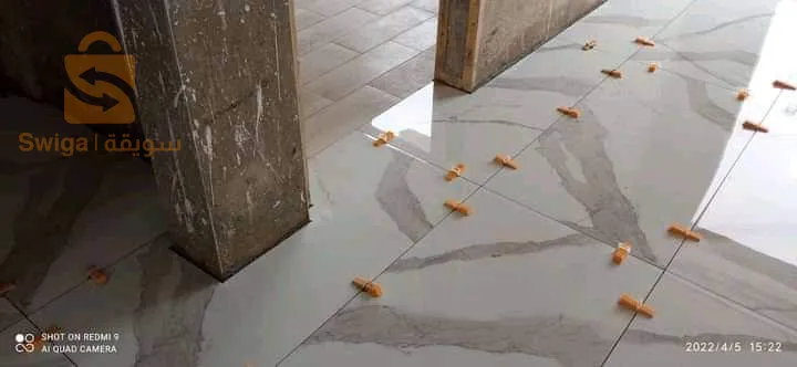 الجزائر ونواحيها