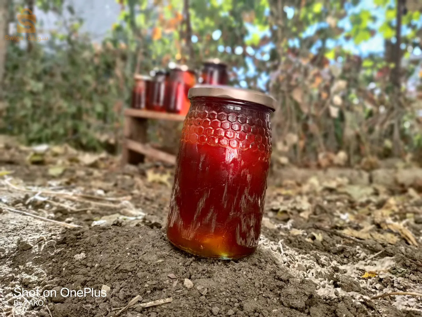 عسل جبلي لهذا الموسم (عسلة ماشاء الله)