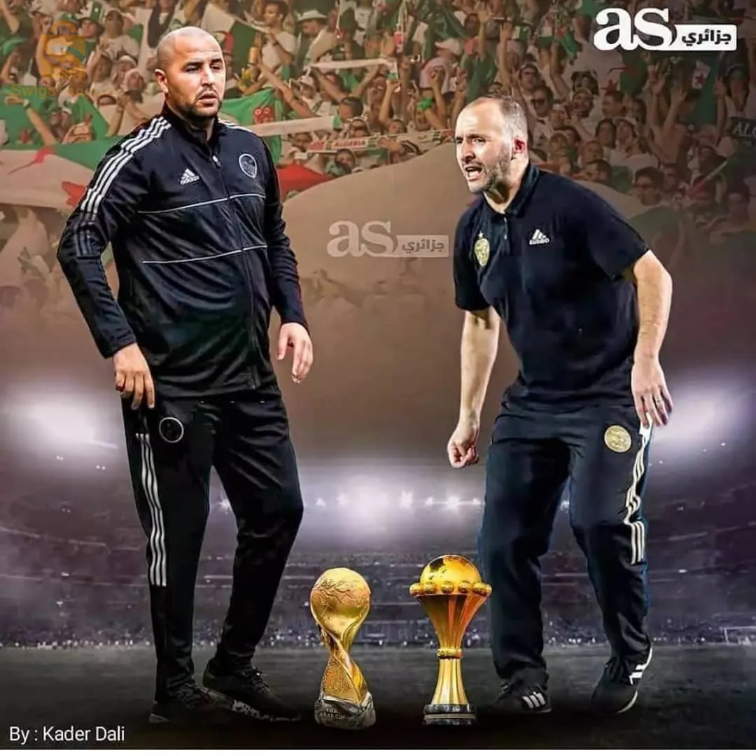 خيمة ممتازة 🏕️