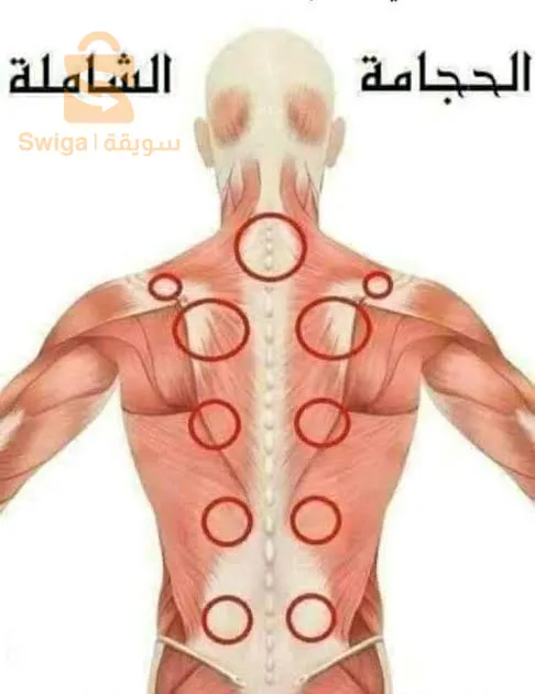 حجامة وقائية / علاجية  ؛ لتحسين الدورة الدموية ، تحفيز المناعة ،  علاج آلام الرأس ، الصداع ، الصداع النصفي ( الشقيقة) ، القولون العصبي ، ارتفاع ضغط الدم ، الخلعة ، اختلالات الجهاز الهضمي ، آلام الظهر ، آلام الرقبة ، عرق النسا ....... و كثير من الفوائد الأخرى
بإشراف خبراء  يتنقلون إليكم حيثما  كنتم
لحجز موعد  اتصل على 0656376931

أيام  العمل : الأحد ، الإثنين ، الثلاثاء ، الخميس.

العاصمة / بومرداس