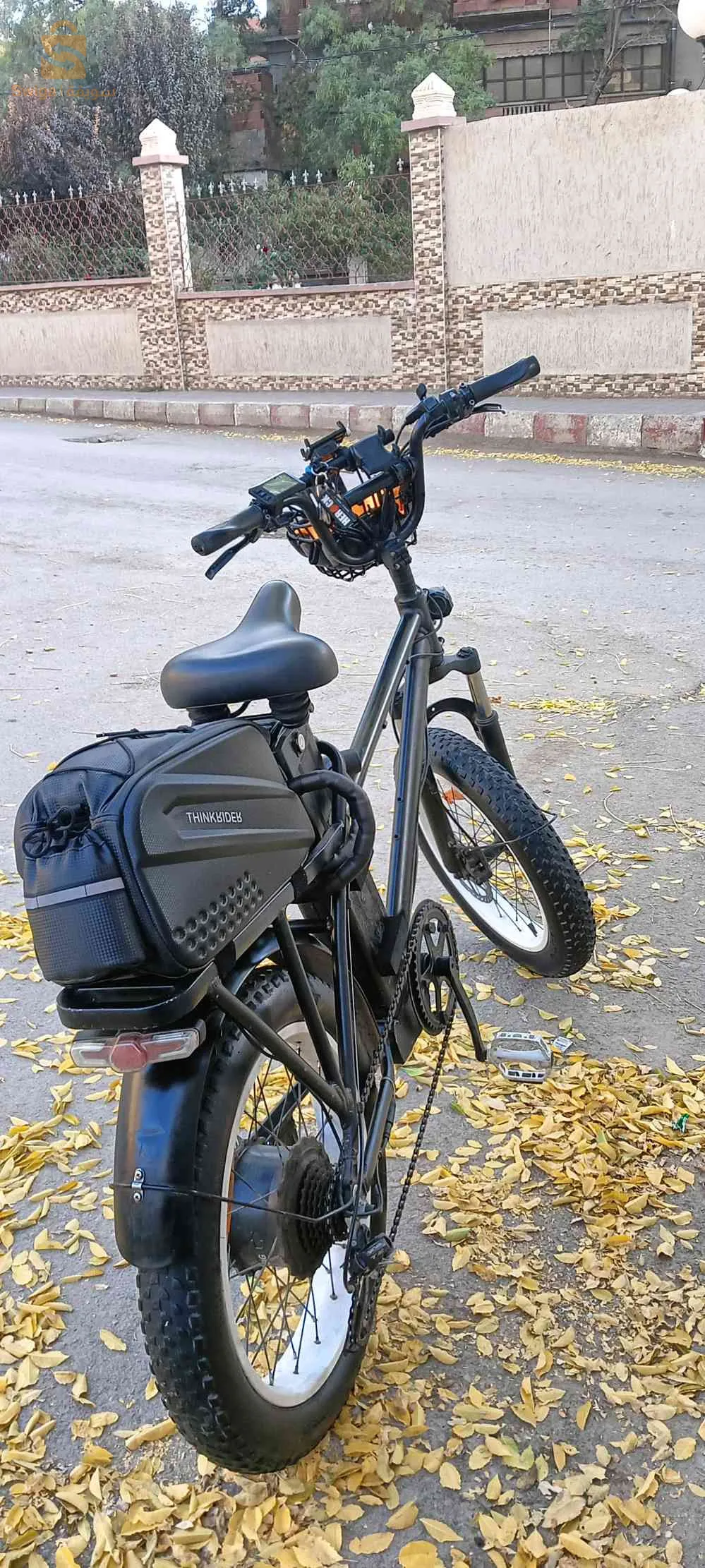 vélo électrique Accélérateur avec une GRANDE batterie