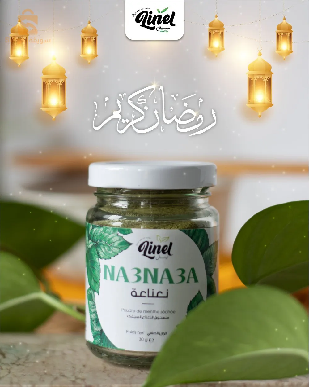 poudre de menthe sêchée Na3na3a