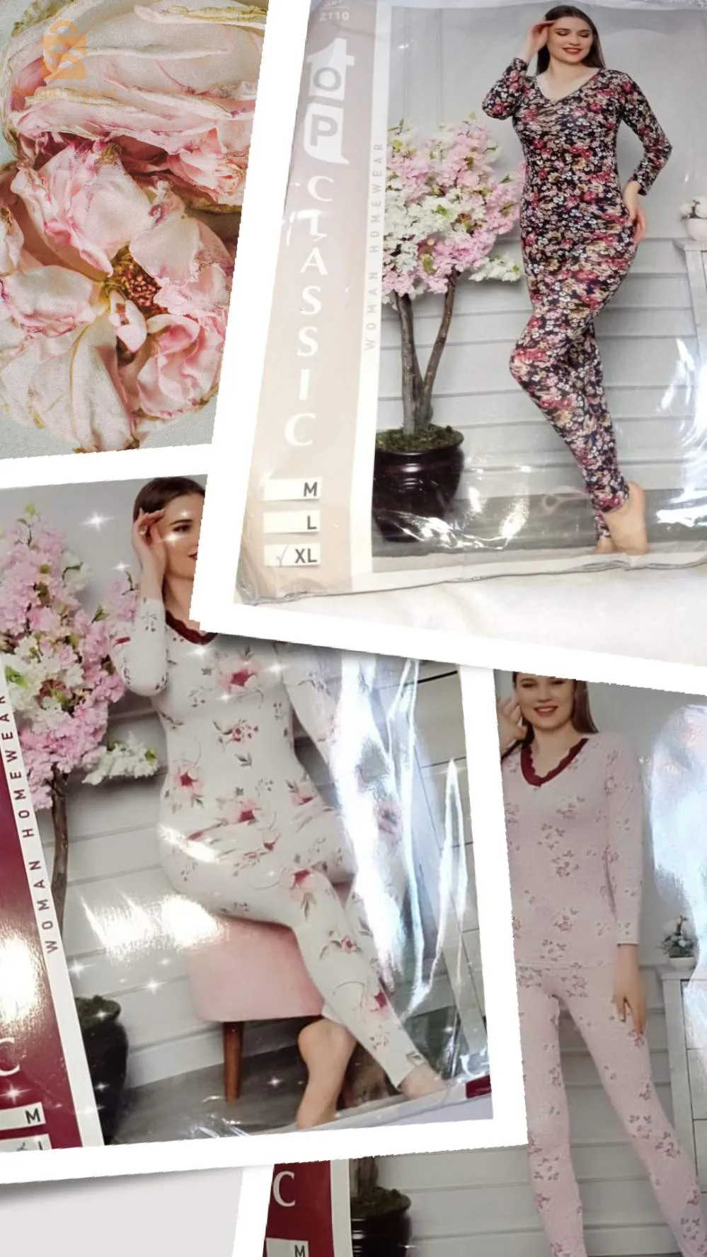 241 حي فيكو المغارية