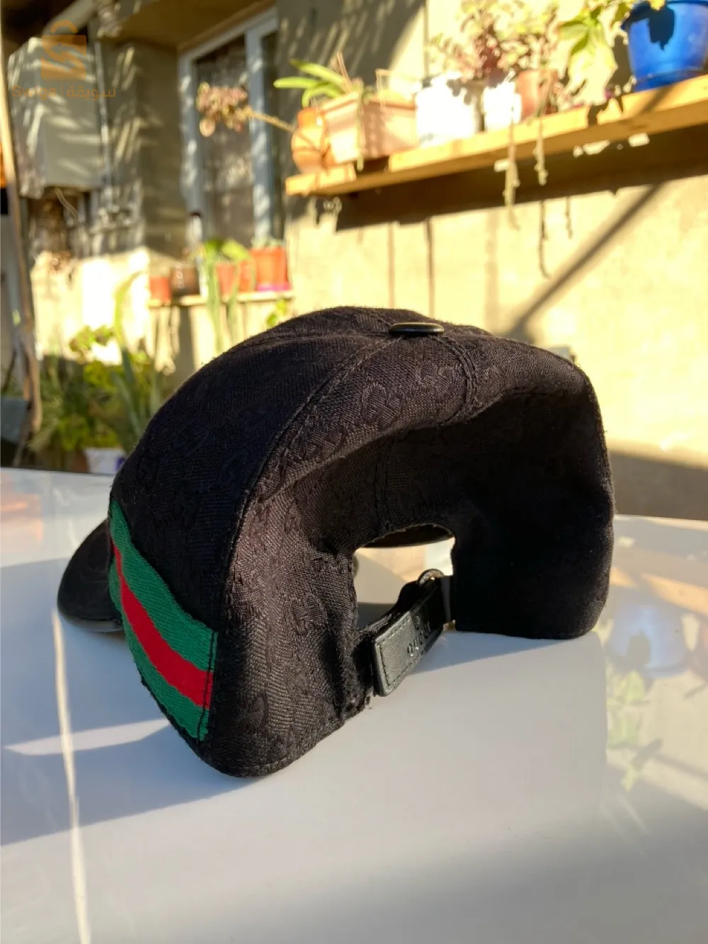 كاسكيطا gucci