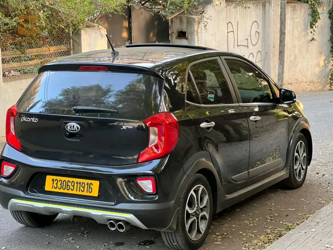 .picanto
