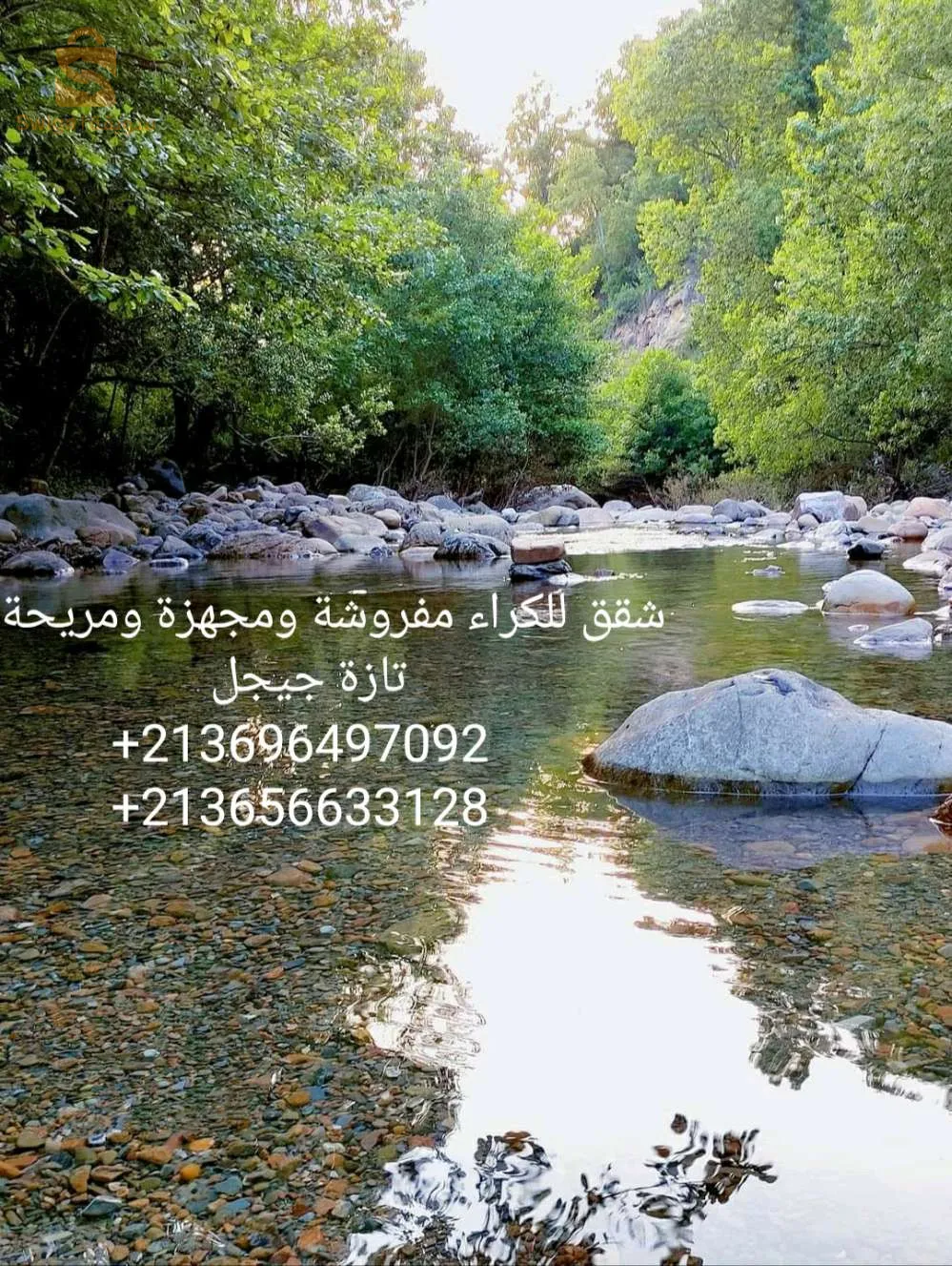 تازة جيجل