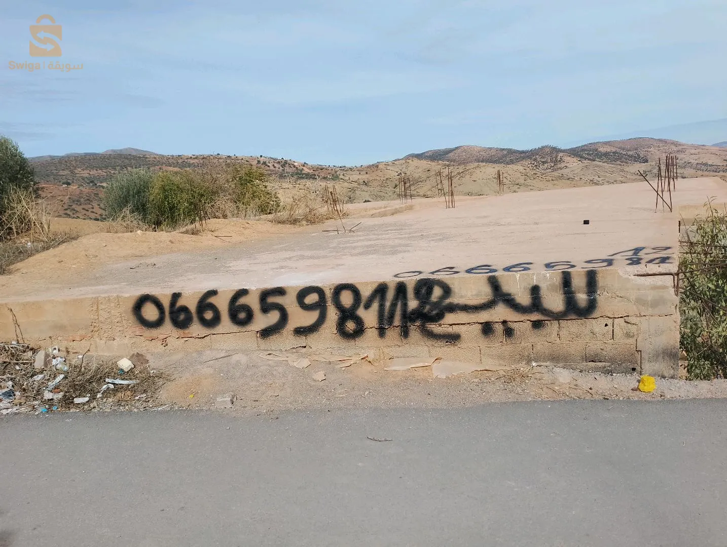 فيها ضلا  1