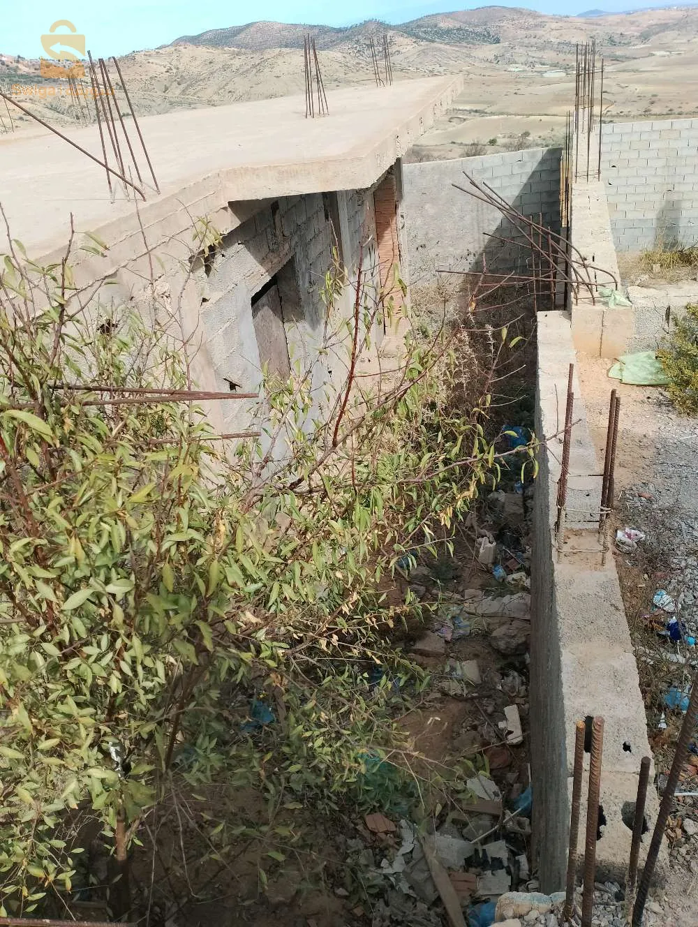 فيها ضلا  1