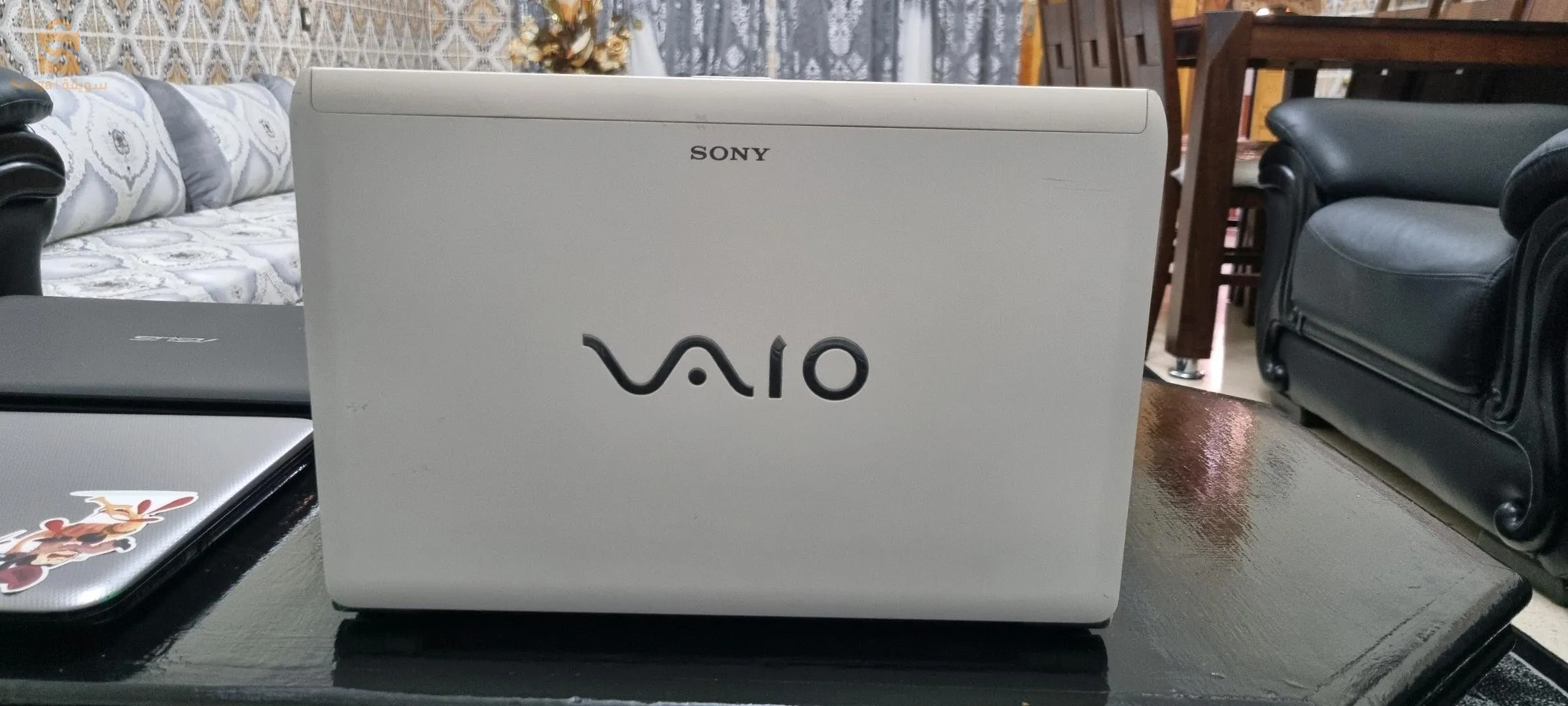 Sony Vaio