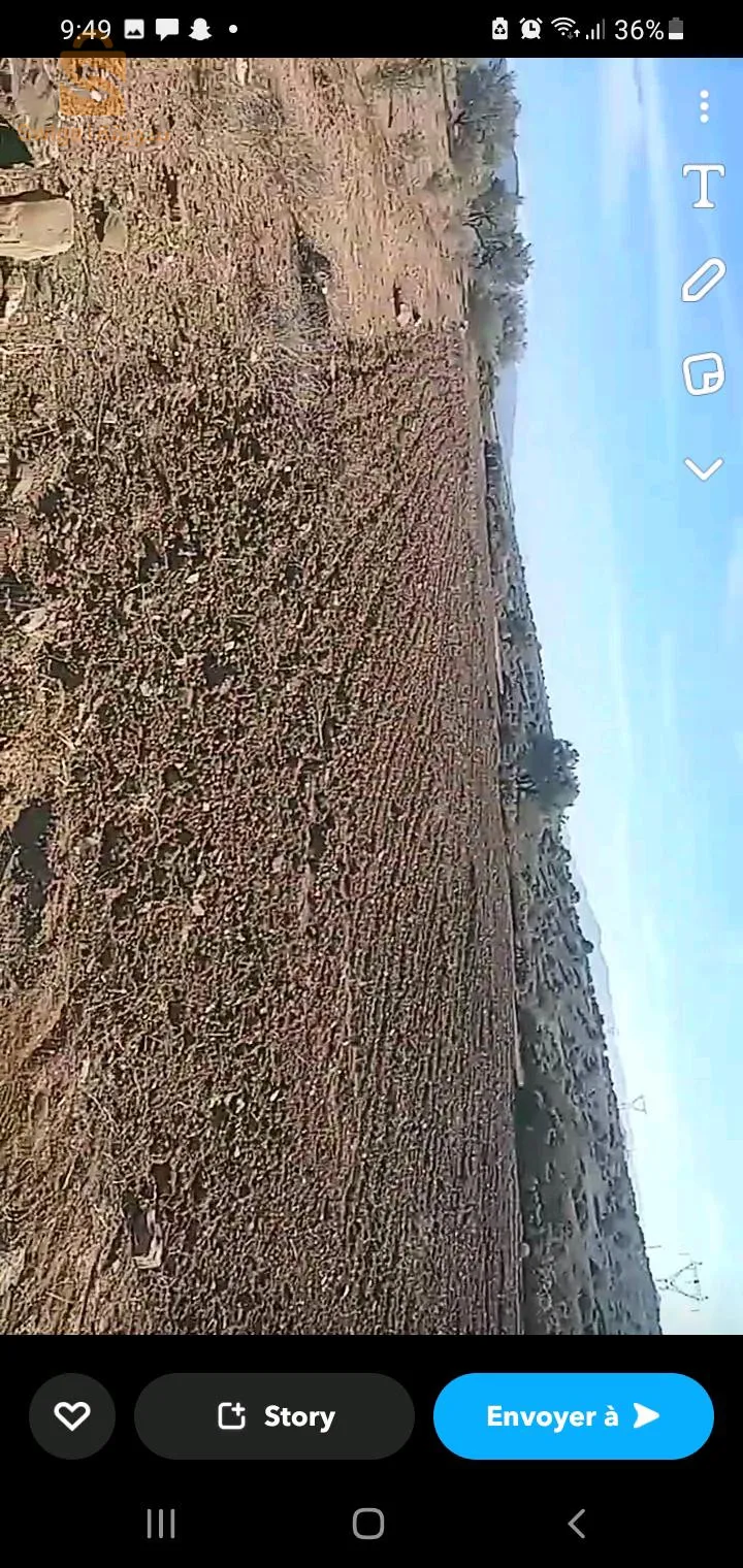 قطعة أرض زراعية للبيع بجانب الطريق السيار شرق غرب مساحتها 3000 m³