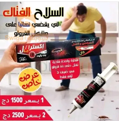 حي رمايش بسكرة