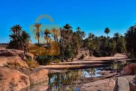 رحلة إلى الجنوب الغربي كاملا 💥