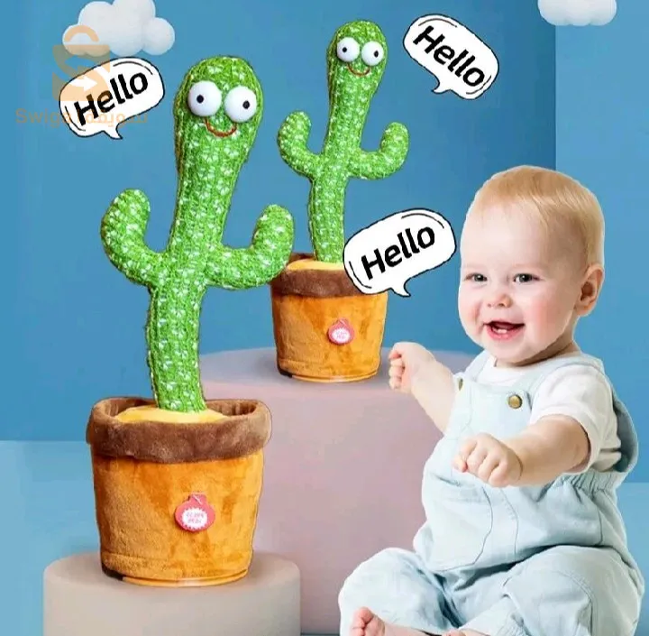 الصبارة الراقصة