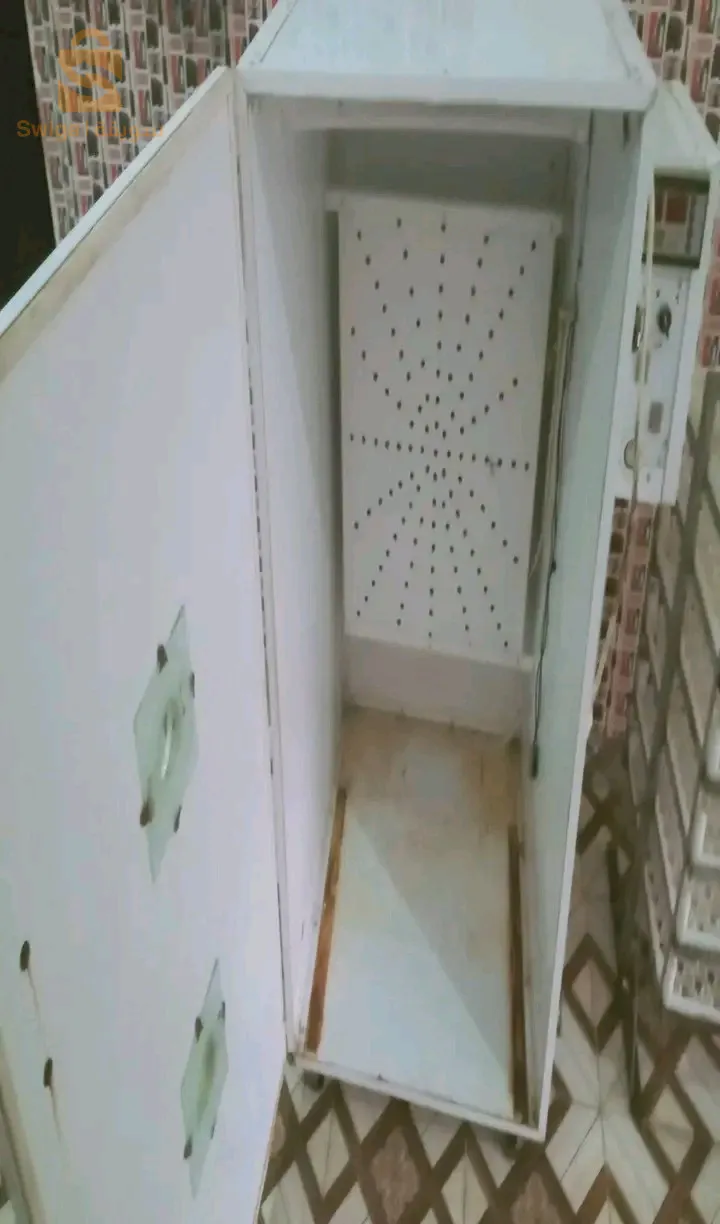 فقاسة دجاج