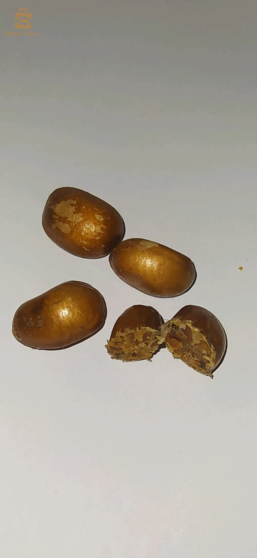 لسان الثور للعلاج