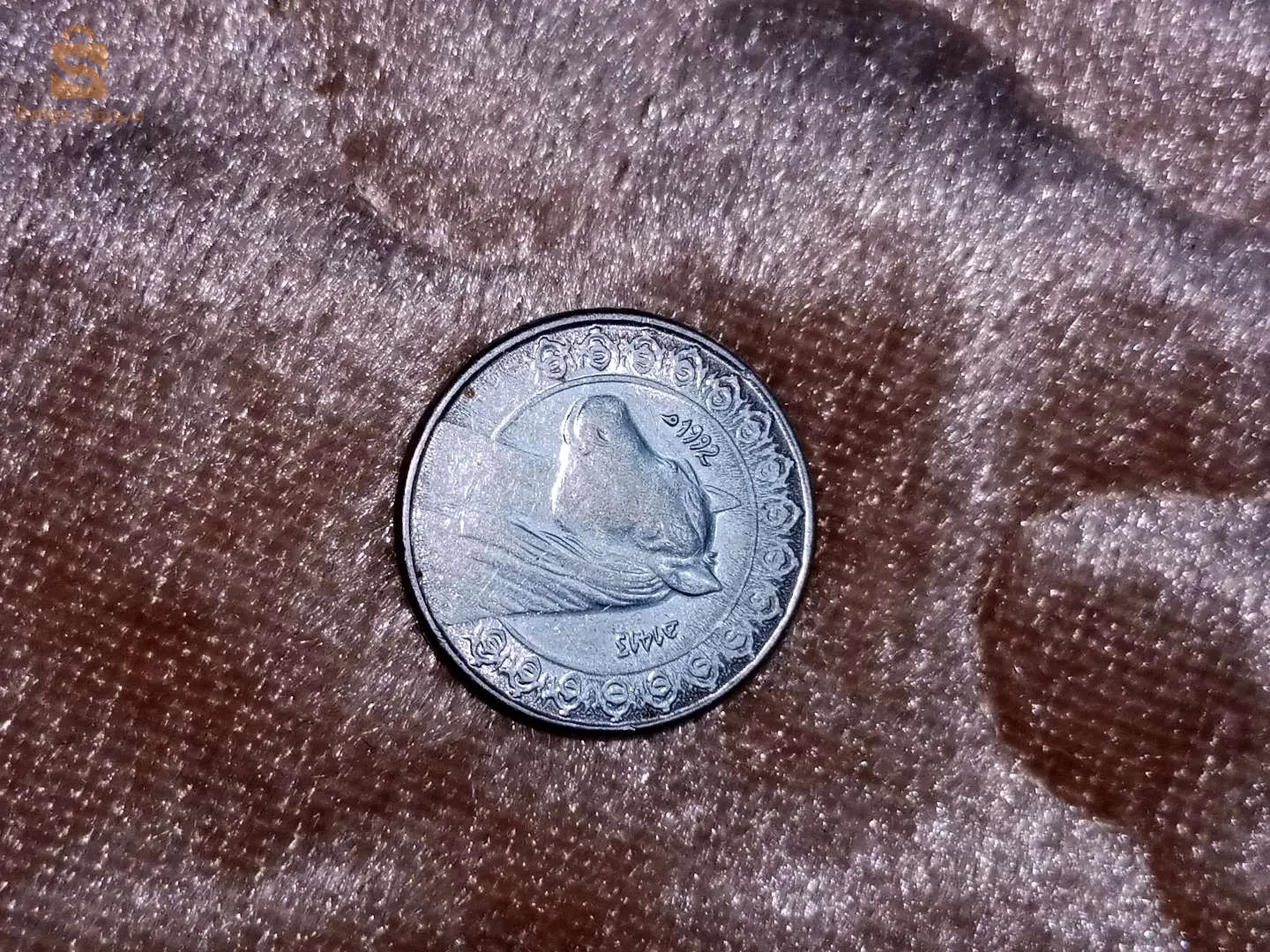 تيبازة