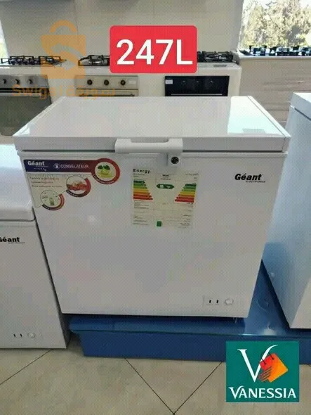 Solde promo 🎁 😍❤️
Congélateur de la marque géant disponible avec g