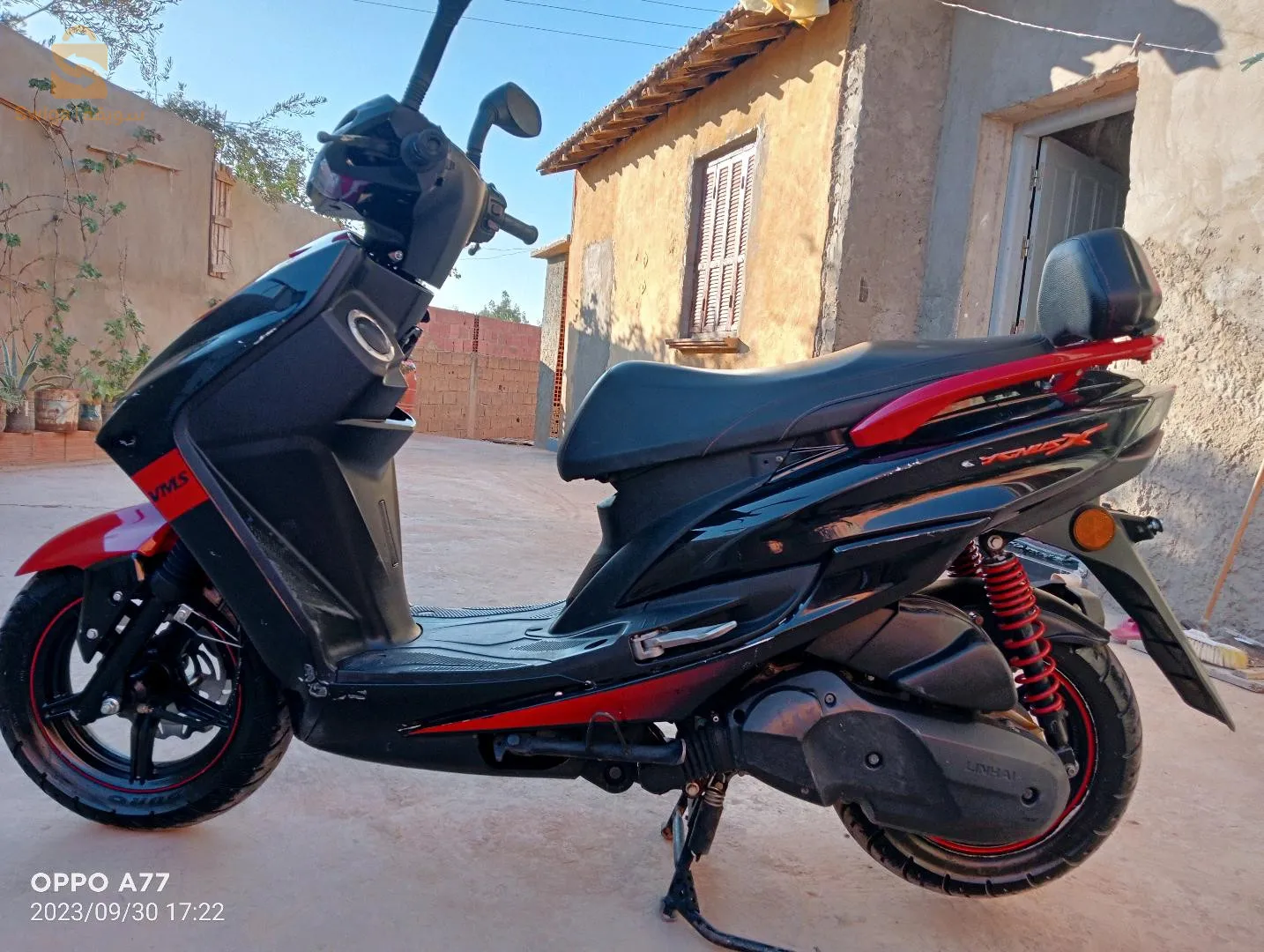vms sygnos 2021
