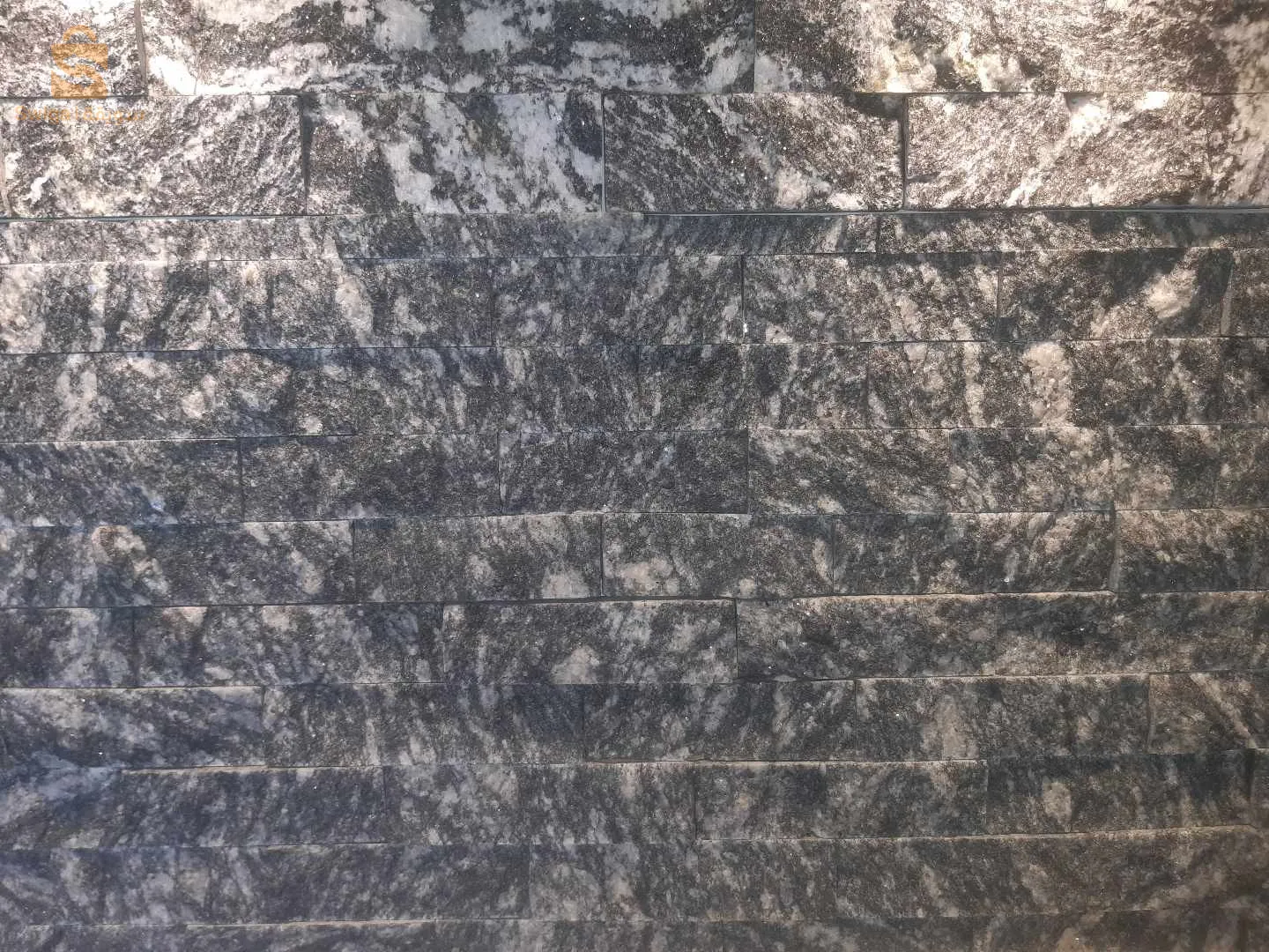 Avenue sidi chehmi oran