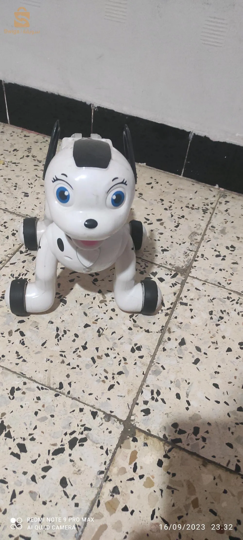 كل حاجة و سعر تعاه