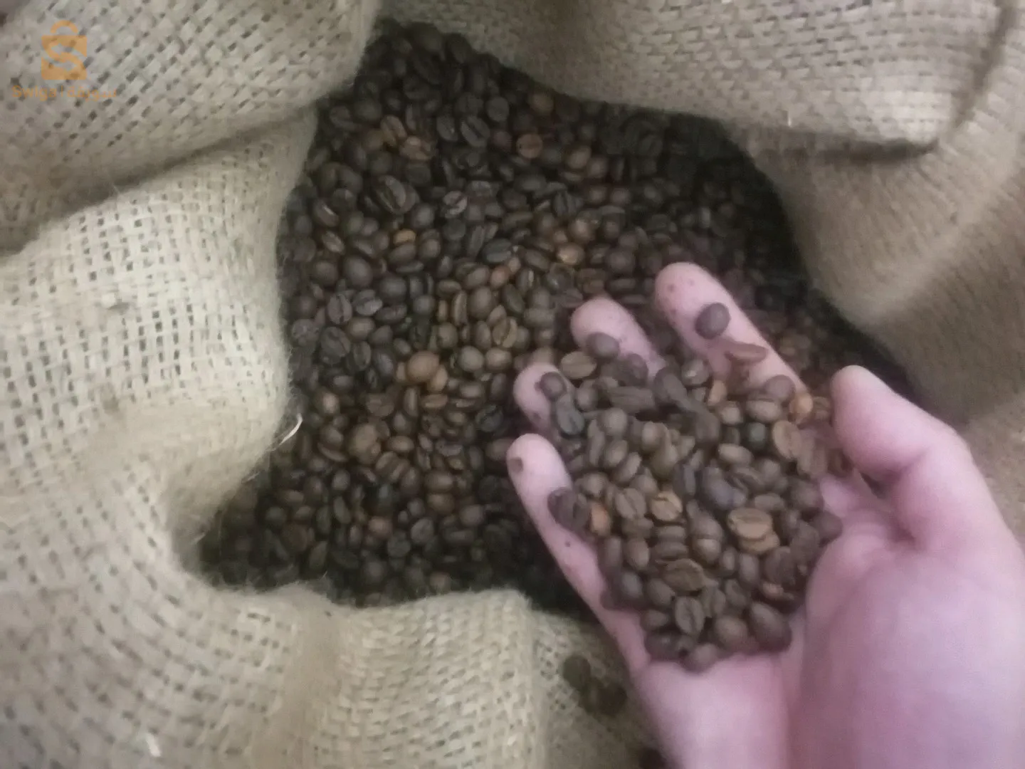 أجود أنواع القهوة لأصحاب المقاهي