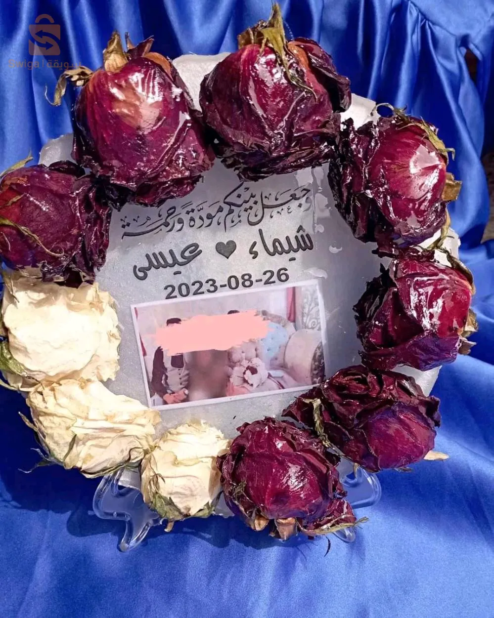 تمالوس