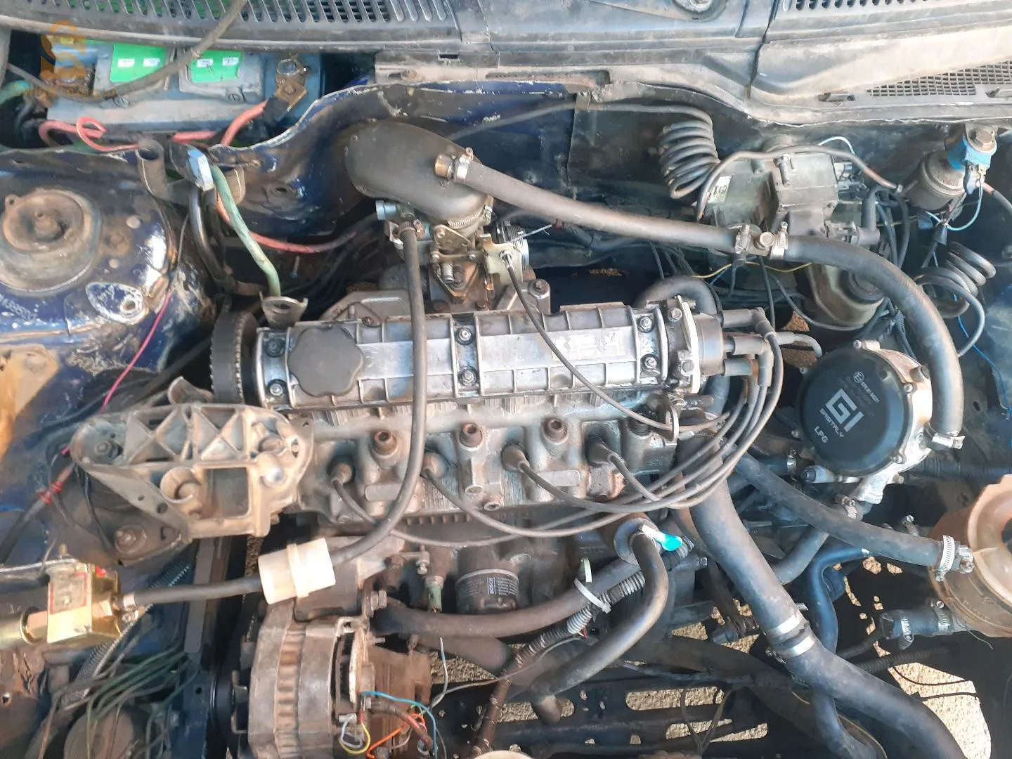 لوطو نقية روح وين حبطت