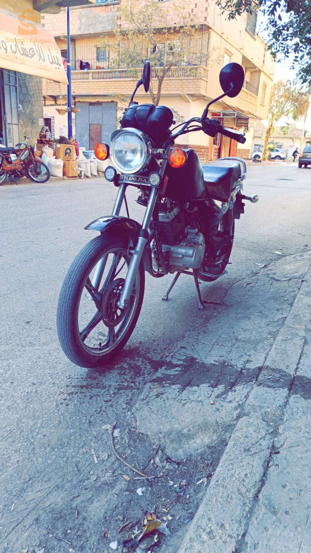 عين الخضراء المسيلة