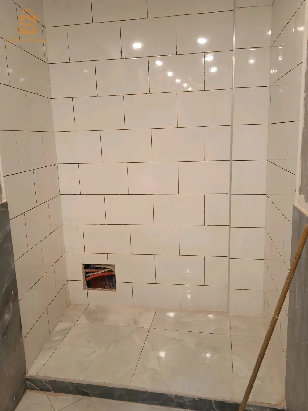 الجزائر ونواحيها
