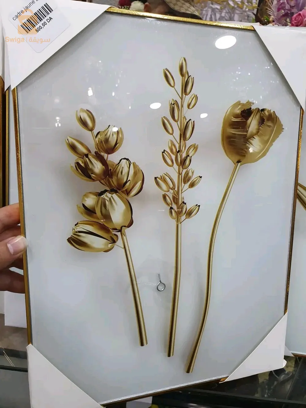 كادر