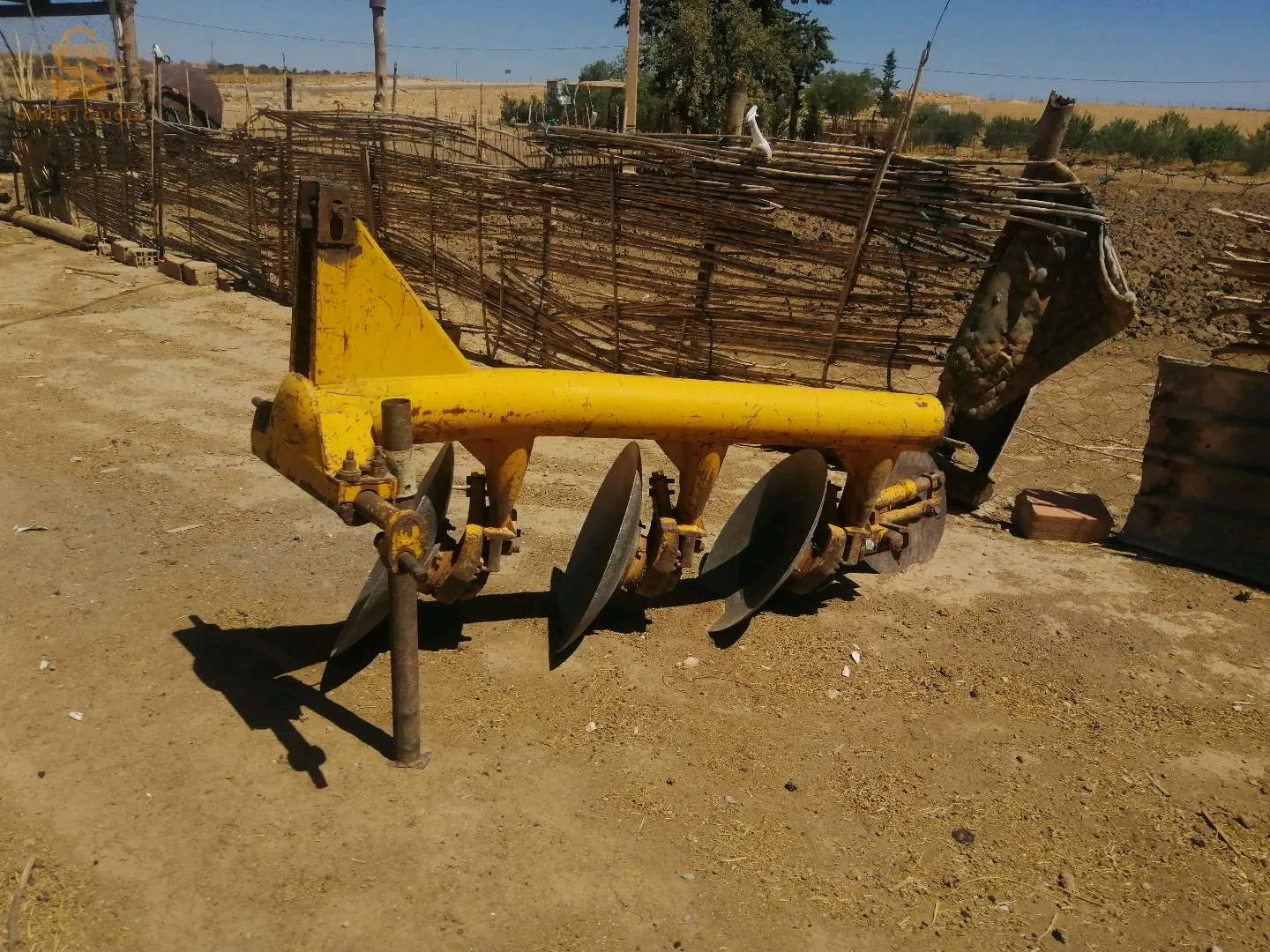 ولاية بلعباس بلدية سيدي شعيب