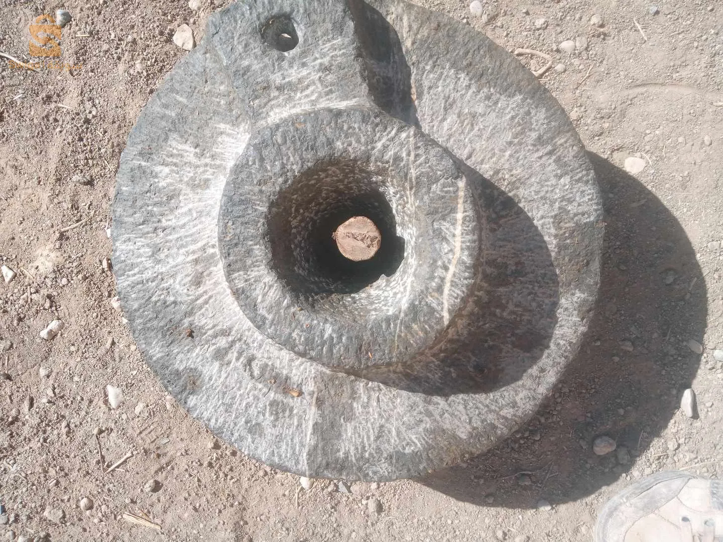 بيطام