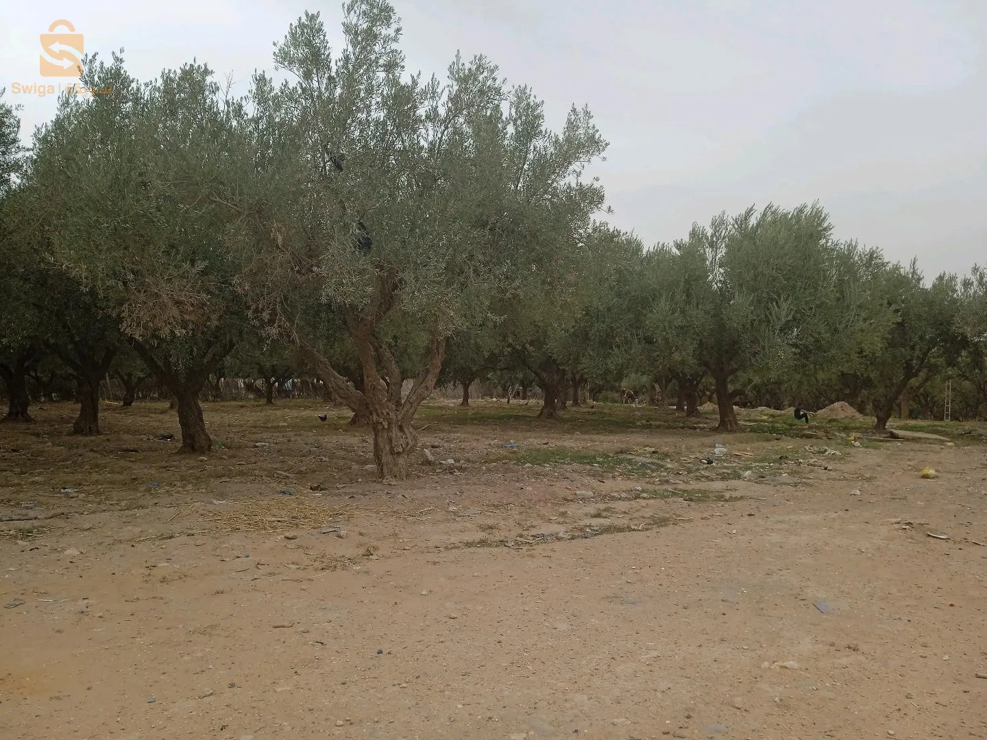 قطعة ارض فلاحية