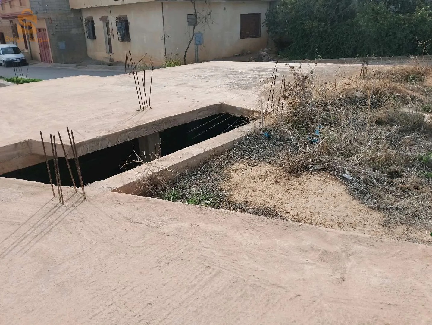 فيها ضلا  1