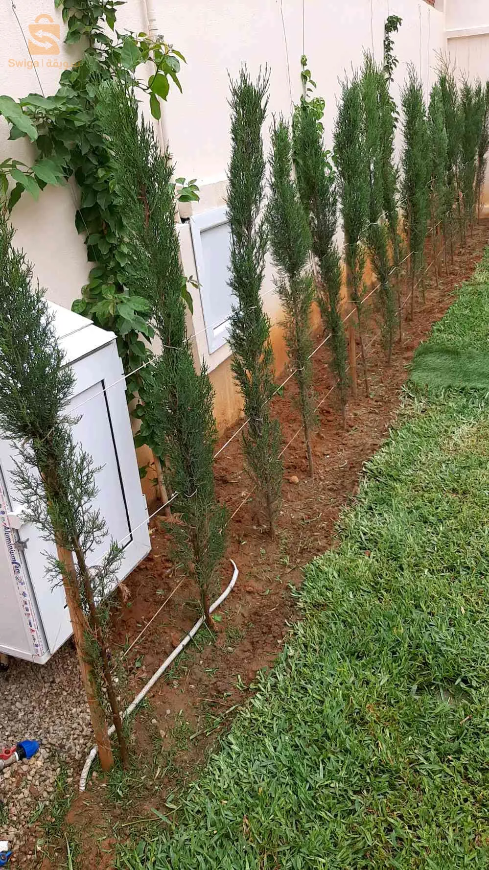 تهيئة وصيانة الحدائق العامة والخاصة