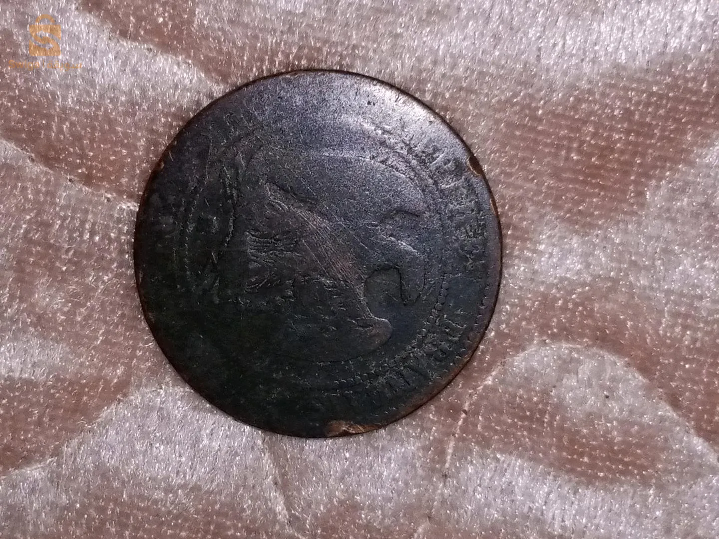 تيبازة