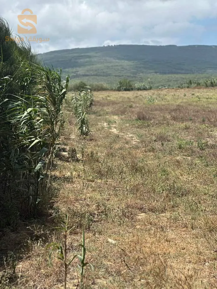 قطعة ارض للبيع